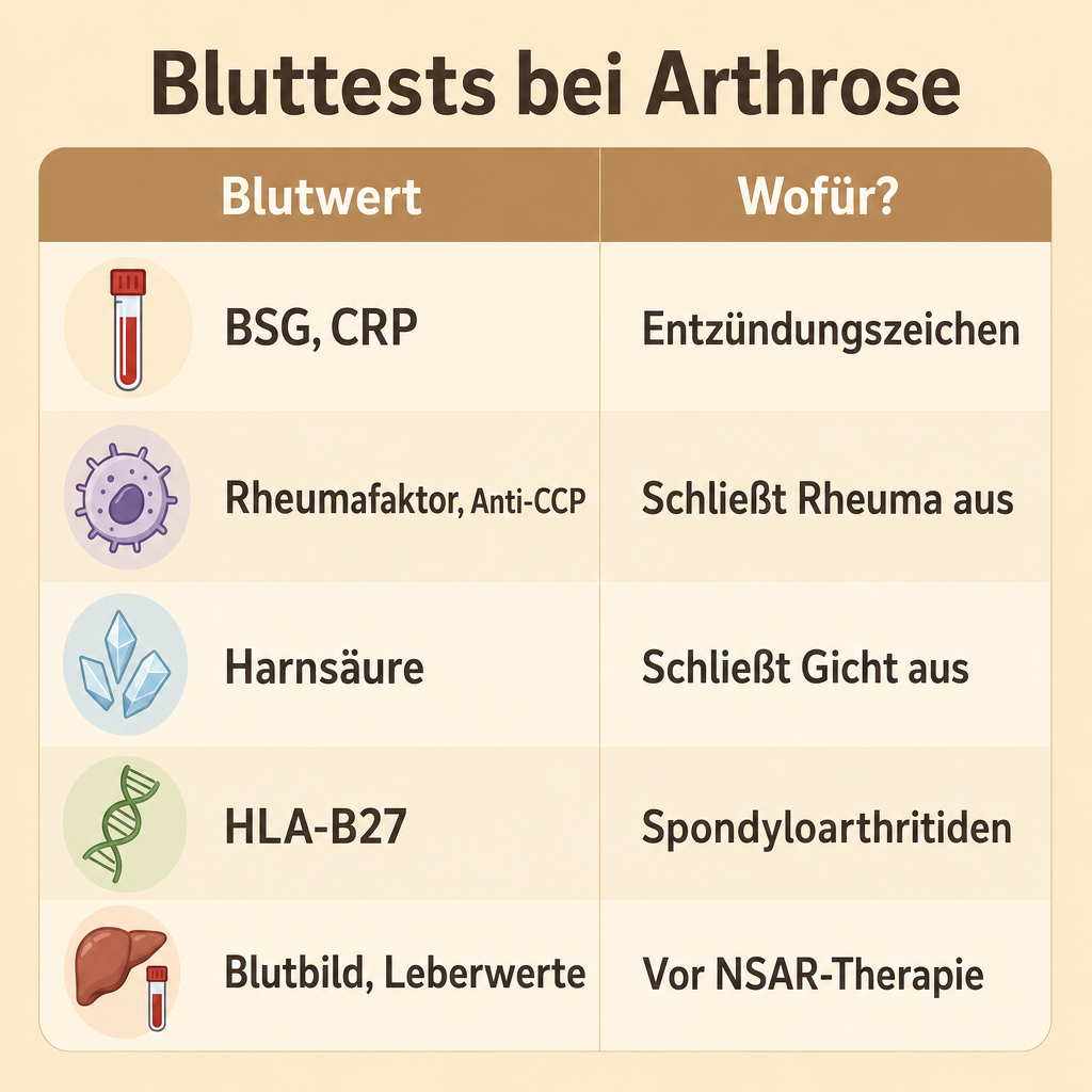 Infografik: Blutwerte in der Arthrose-Diagnostik – BSG/CRP, Rheumafaktor, Harnsäure, HLA-B27, Blutbild/Leberwerte und ihre Aussage.